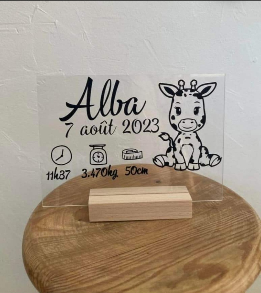 Plaque naissance